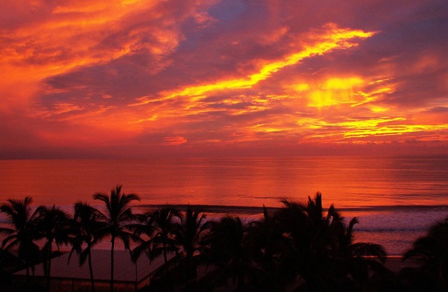 Playa Royal Oceanfront Condo