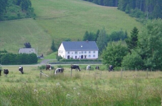 PLEASANT 8-PERSON APARTMENT IN A QUIET NATURAL SETTING NEAR LAC BLANC 900