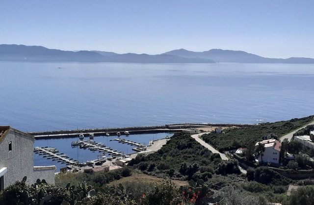 Pleasant studio with mezzanine, magnificent view of the Port of Cargèse