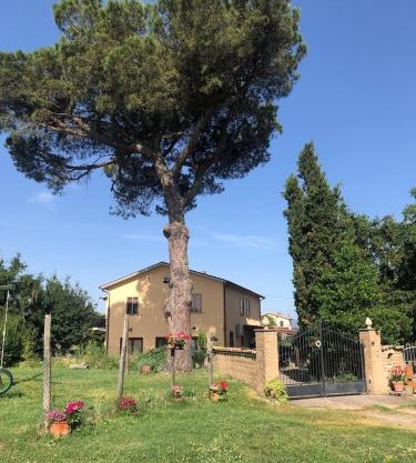 Podere Telesforo