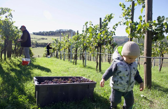 podere tina