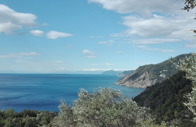 Poggio del Salice: Apt. Cinque Terre with terrace-4 people /Citra 011005LT0087