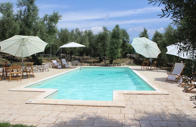 POGGIO TAKUNA swimming among the olive trees. and more! !