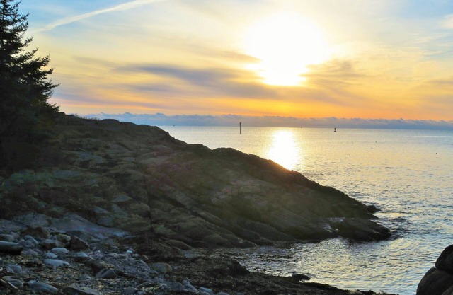 Pointed Fir Cove Cottage - Stunning Ocean Front Retreat!