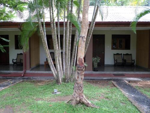 Polonnaruwa Holidayinn