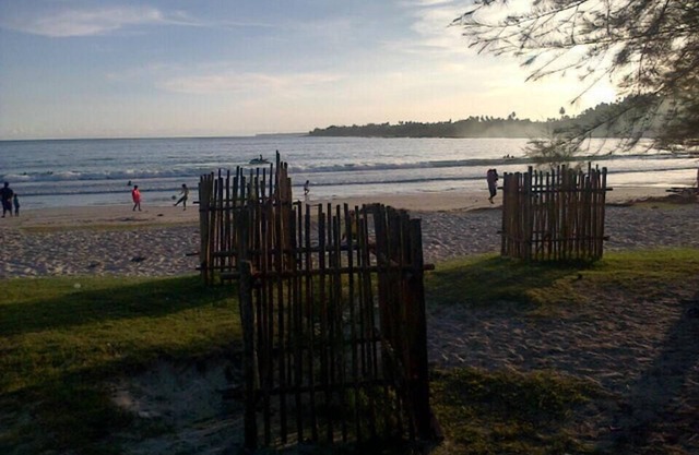 Pondok Oma Surf Simeulue
