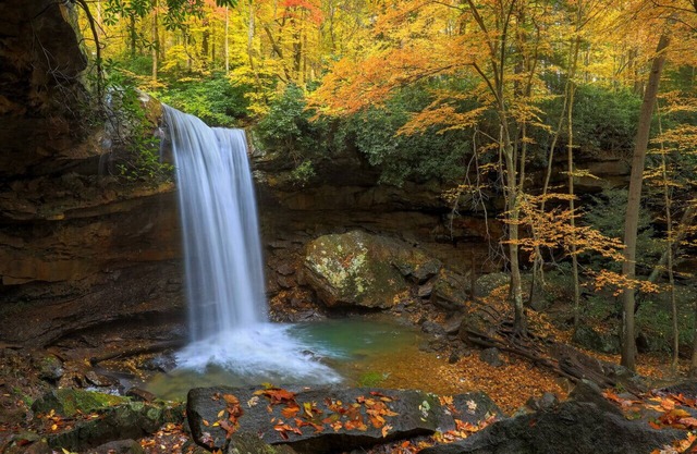 ☀️ Pool Days, Mountain Plays & Pet-Friendly Stays in the Laurel Highlands 🏞️