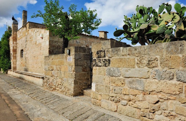 Pool, relax, and Olives at Masseria Don Tommaso and its guesthouse