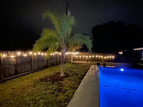 Pool vibe oasis