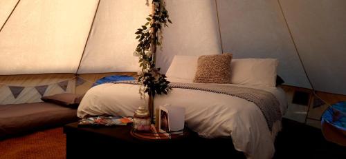 Pop up Pembrokeshire