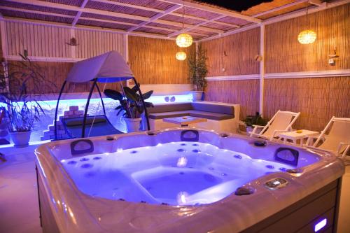Porfyra Suite 1
