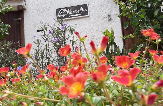 Pousada Charitas Inn