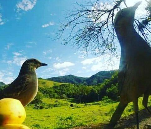 Pousada Verde Vista