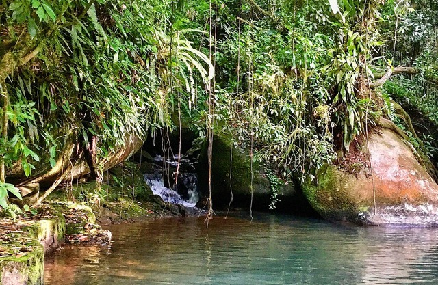 Pouso da Mata country house