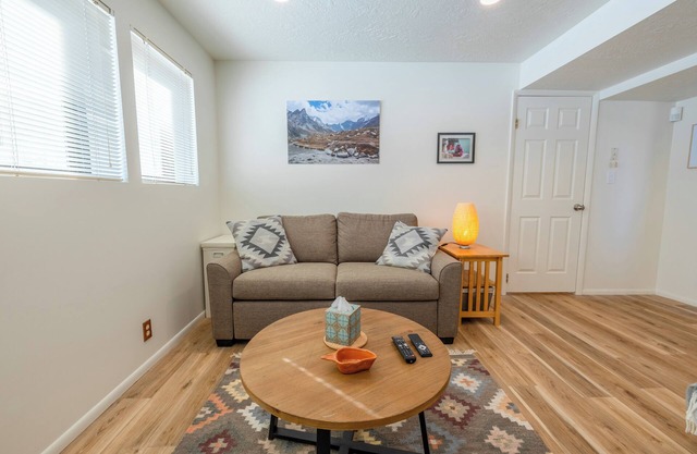 Powder Chaser's Dream Apartment