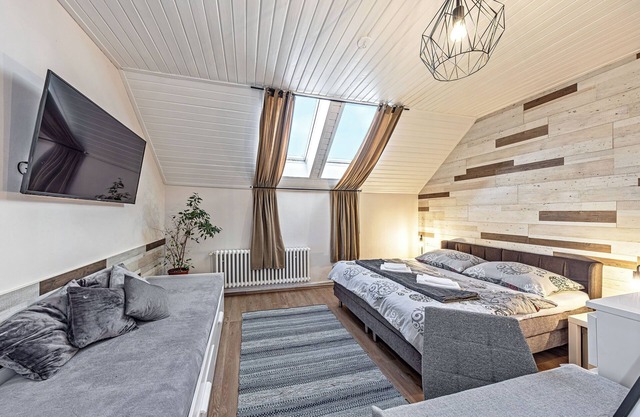 Prague Petite Price Penzion, Apartment 3, sleeps 3