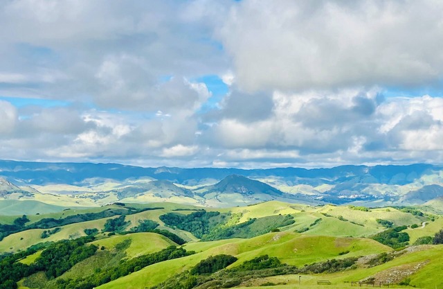 Prefumo Crest Inn: 20 minutes to Cal Poly, beaches and downtown
