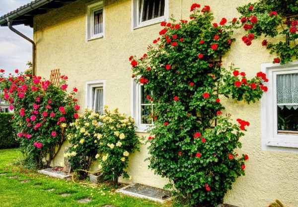 Prestige-Apartment-Chiemsee