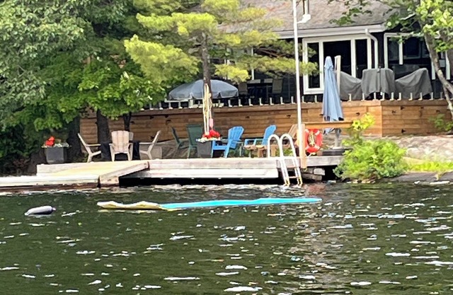 Pretty Cottage - newly renovated cottage on Six Mile Lake - Great swimming