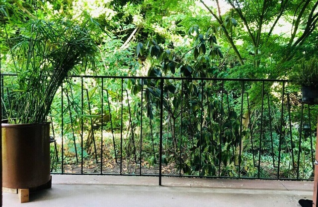 Pretty, spacious gite surrounded by greenery
