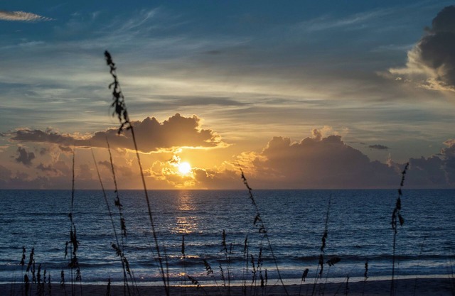 Price Drop-Book Now! Oceanfront, Heated Pool
