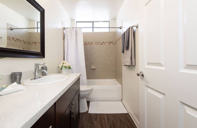 Prime Location 1 bedroom with Balcony & Pool