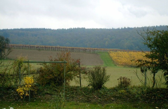 Privat Wohnen in den Weinbergen