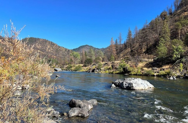 Private 1-bedroom 1-bathroom guest suite in the forested area of Trinity County.