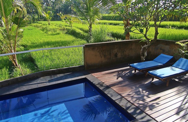Private 1 Bedroom Ricefields View Villa Ubud