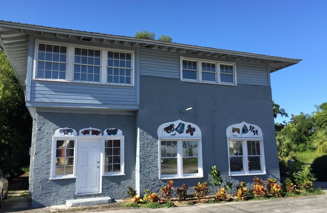 Private 2nd floor of home near Stetson, races, river, sky diving, beach, springs