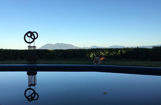 Private 6 acre compound with saltwater pool, hot tub and VIEWS!!!