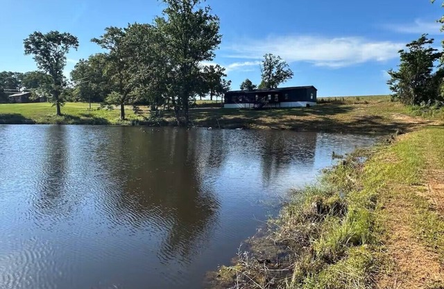 Private Cabin, 3 Bed Rooms, 2 Bath, nestled in the woods on a spring fed pond!