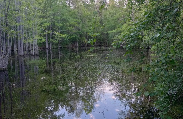 Private camping near Panama City and Panama City Beach. Includes a fire pit 🔥
