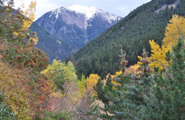 Private Creekside Retreat Near Yellowstone & Chico Hot Springs