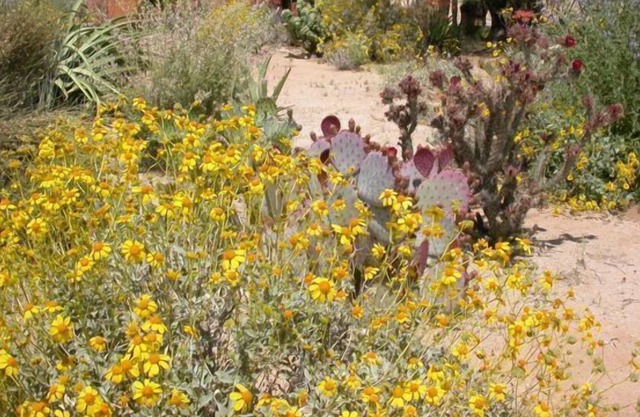 Private Desert Casita Nature Spiritual Retreat on 10 acres
