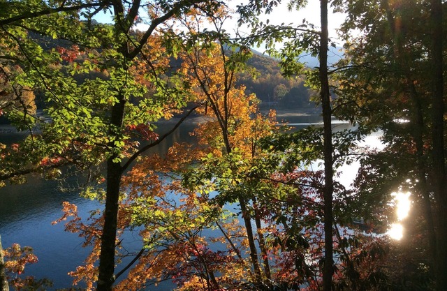Private dock, Wifi, Lakefront, Rustic Appalachian Cabin on Nantahala Lake!