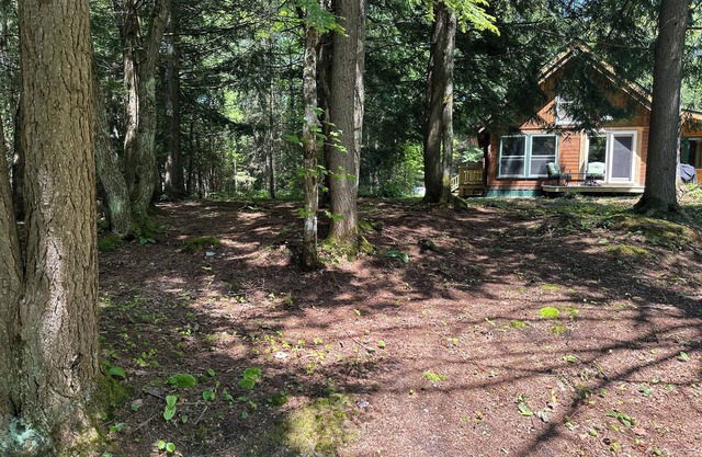 Private hideaway cabin, nestled in the woods with private Silver River access.
