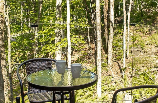 Private Hot Tub| Hiking | Skiing | Chalet Harmonia