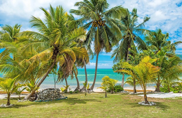 Private Luxury Villa Steps to Beach w/Kayaks, Snorkeling & Screened Porch!