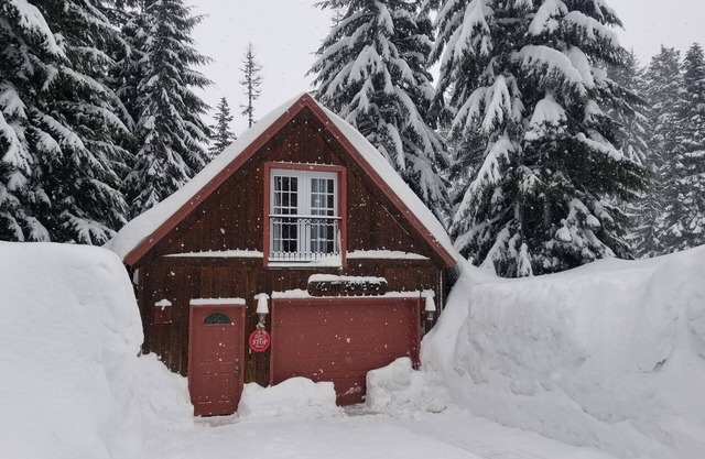 Private Mountain Cabin - Pet friendly and fast internet