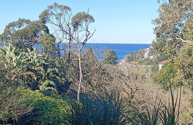 Private Oasis Overlooking Ocean & Bronte Gully