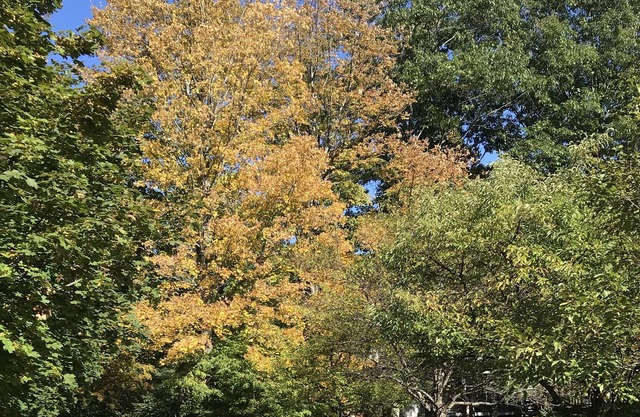 Private Retreat on Battenkill Near Manchester Village