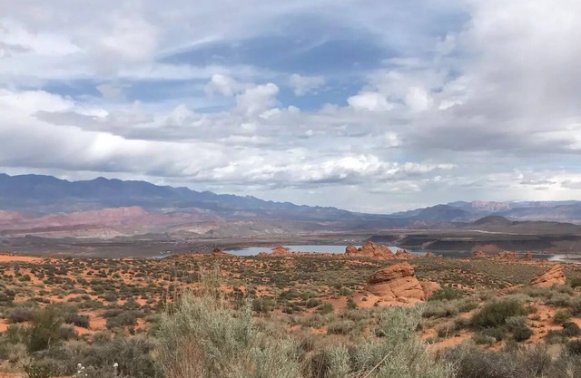 Private Scenic Stay at Sycamore Lane