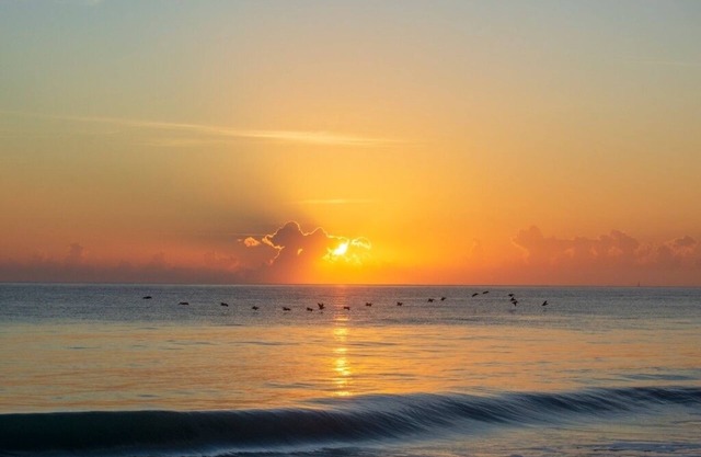PRIVATE DETACHED GUEST HOUSE 2 MINUTE WALK TO BEACH, SURROUNDED BY NATURE.
