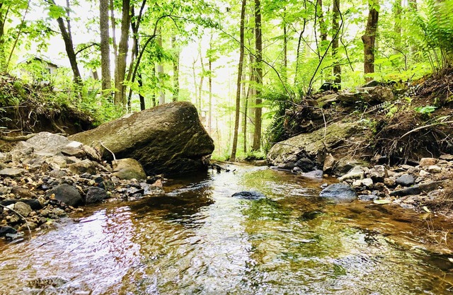 Private waterfall cottage on 9 acres three miles to main street Hendersonville