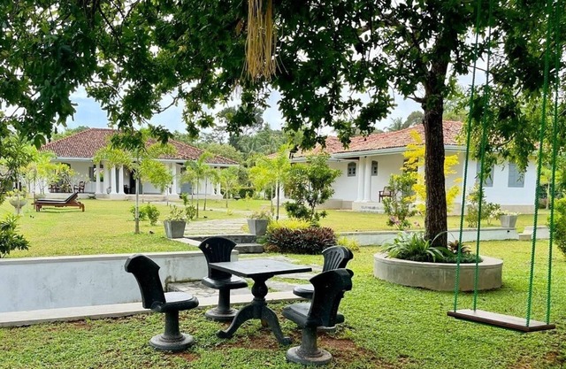 Privet Bungalow Oak Tree