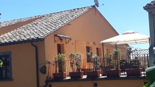 "Profumo di Tiglio"