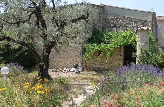 PROVENCAL DROME ON A BIO-VIGNES ET OLIVIERS DOMAIN