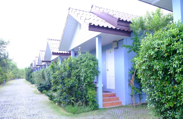 PT House Resort