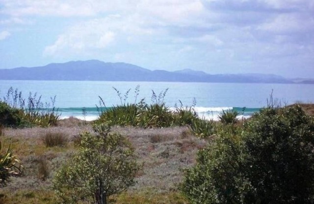 Puka Bach - Paradise On Your Doorstep